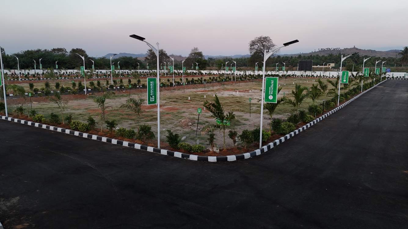  westfield Plot