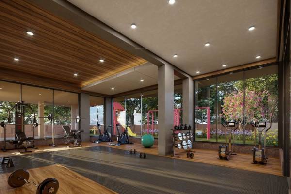  united-elenza Others