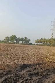  valletta-homes Elevation