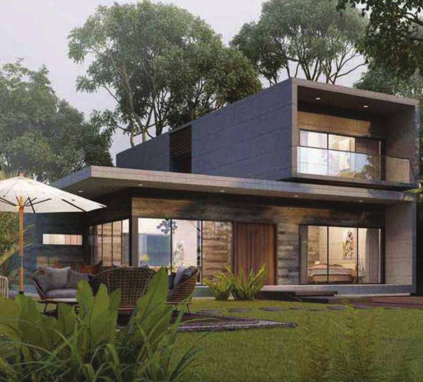  forreste 5 Elevation