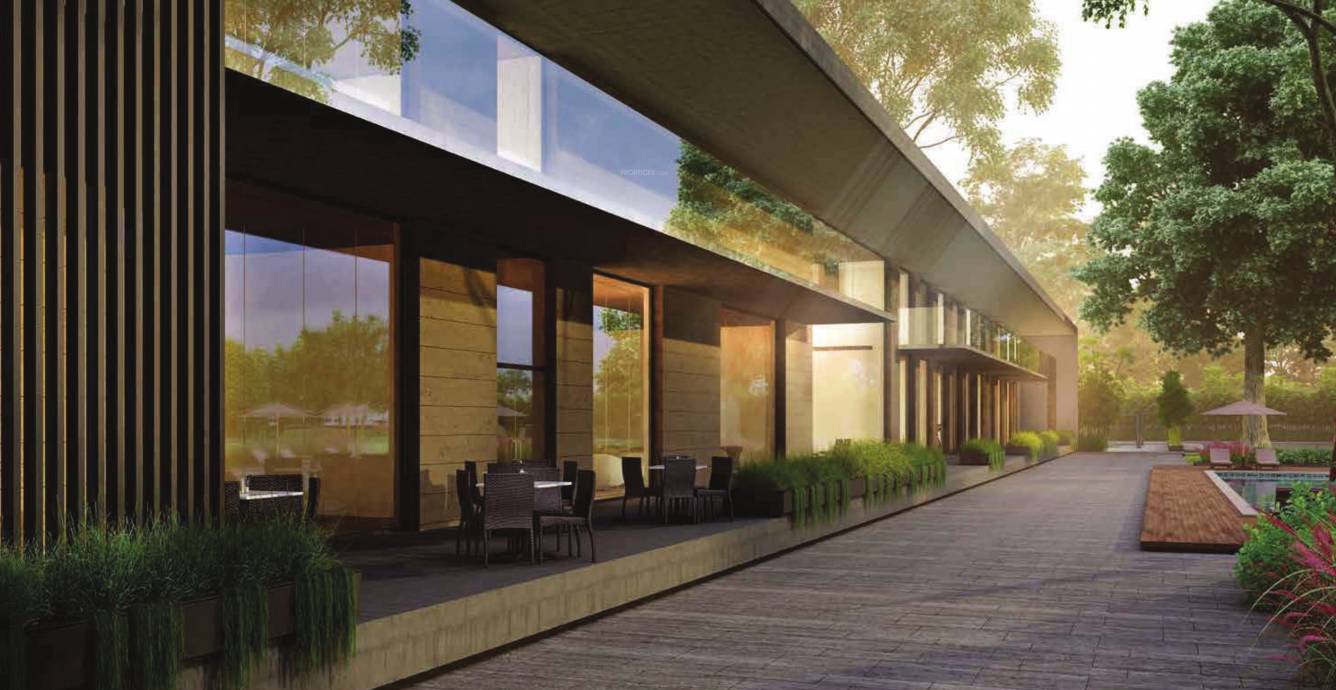  forreste 5 Elevation