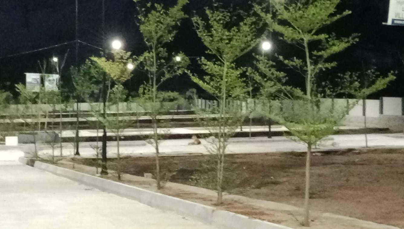  jewel Internal Roads & Footpaths