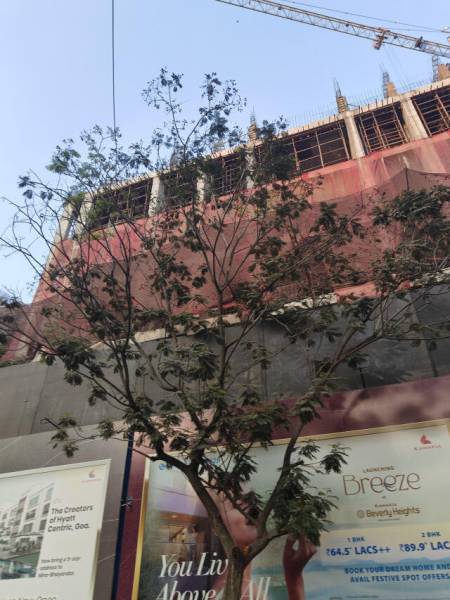  beverly-heights Beverly Heights Construction Status March-25