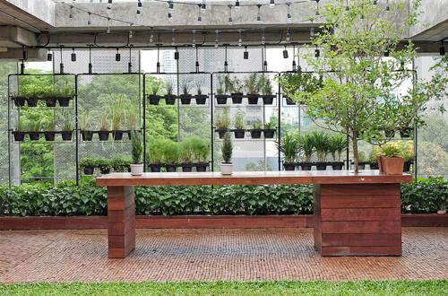  beverly-heights Landscape Garden and Tree Planting