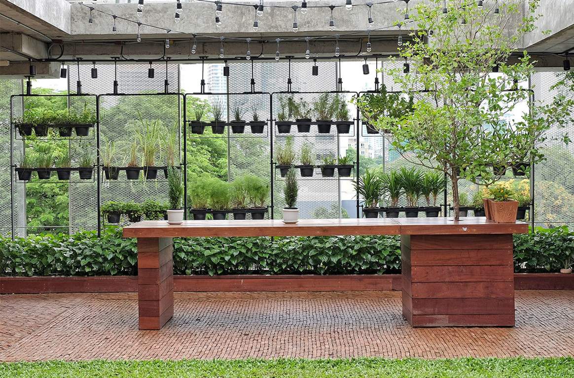  beverly heights Landscape Garden and Tree Planting