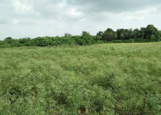 Project Image Project Image