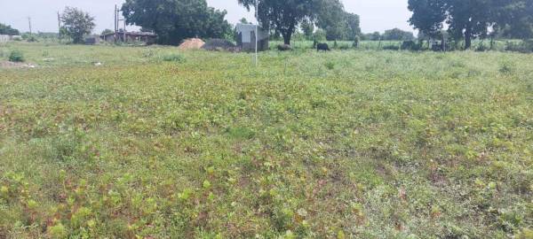  eden-villa Elevation