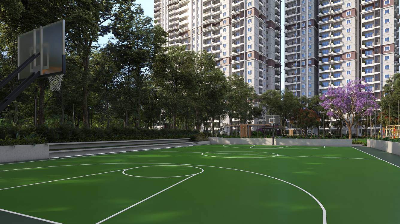 celestial city Others