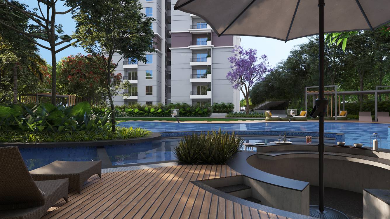 celestial city Others