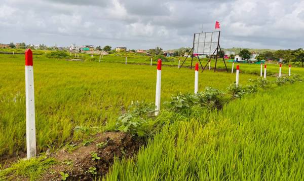  land-plots-in-ranjanpada Plot