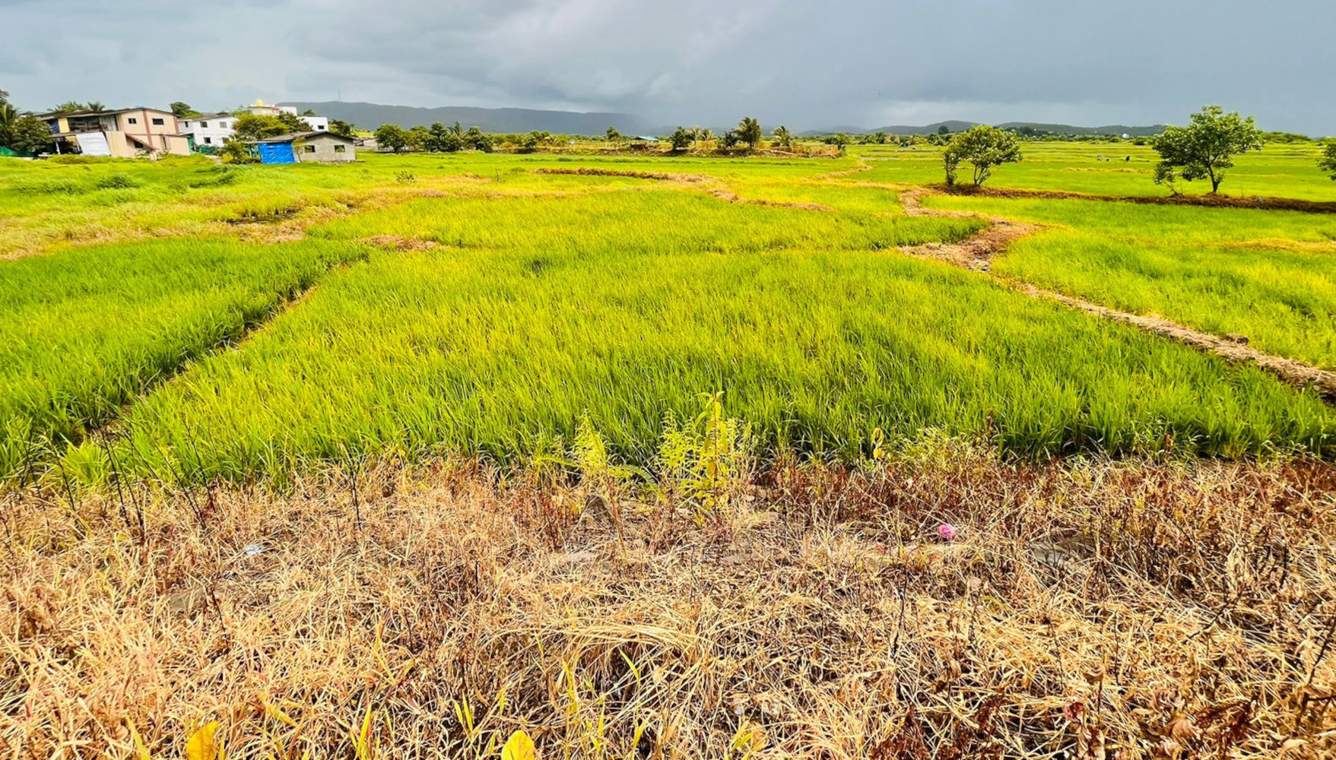  land plots in ranjanpada Plot