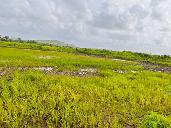 Elevation land-plots-in-belondakhar Elevation