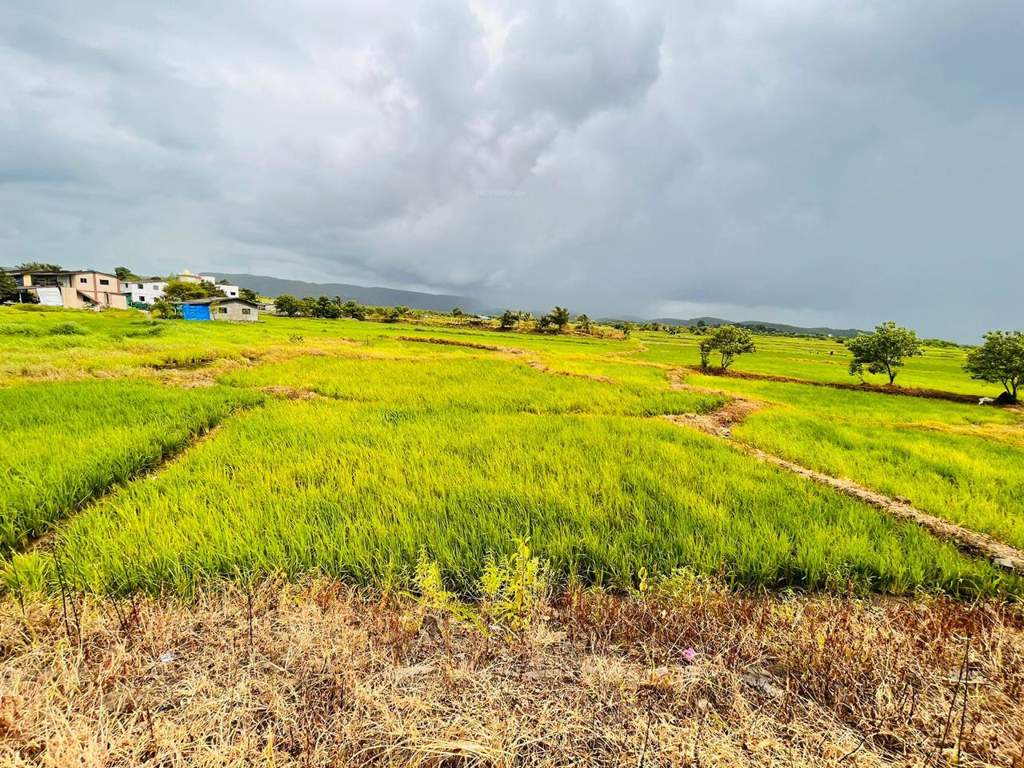  land plots in belondakhar Plot