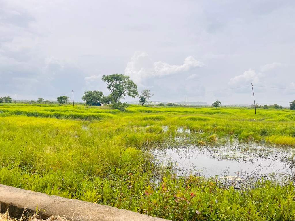 land plots in belondakhar Plot