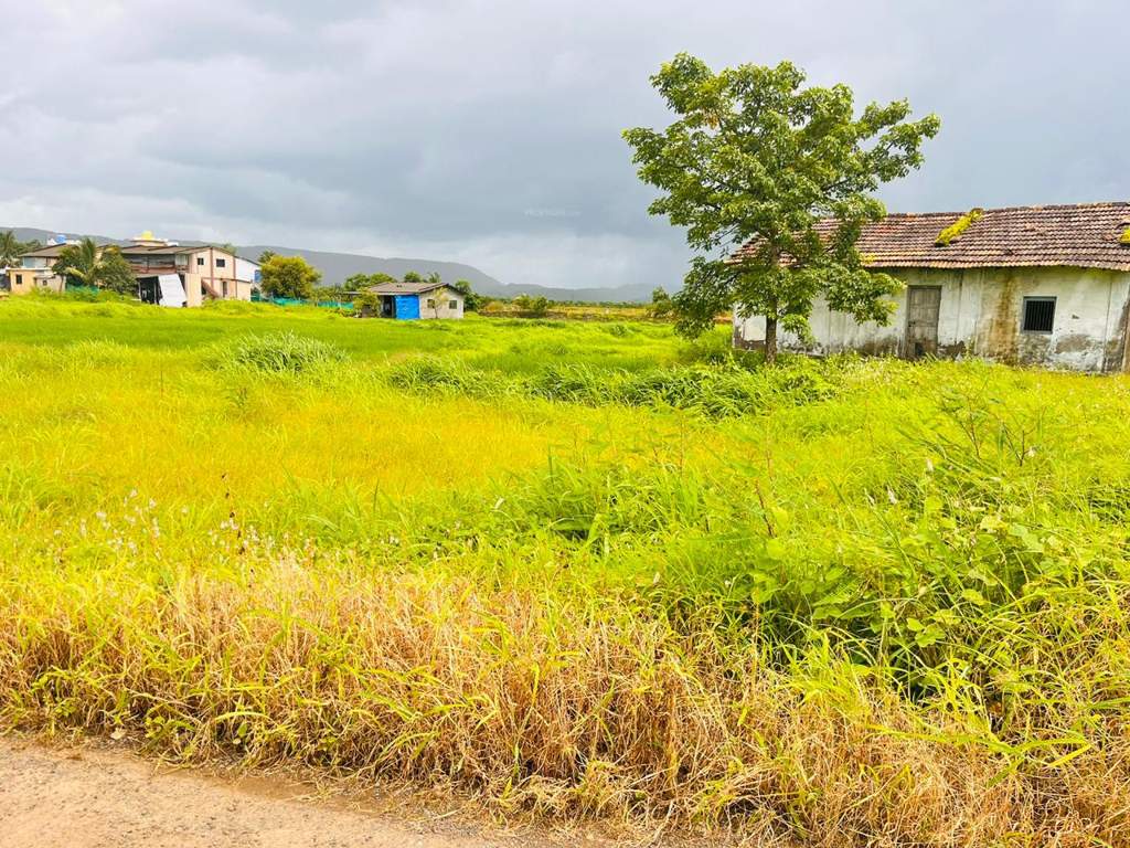  land plots in belondakhar Plot