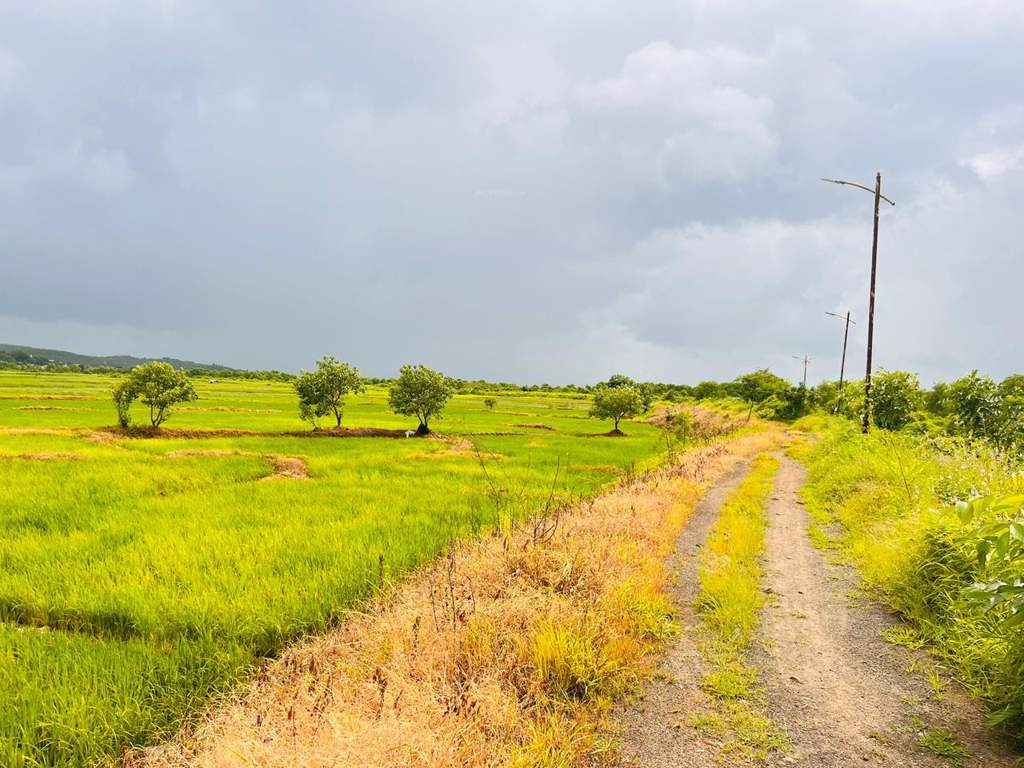  land plots in belondakhar Plot