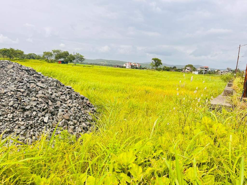  land plots in belondakhar Plot