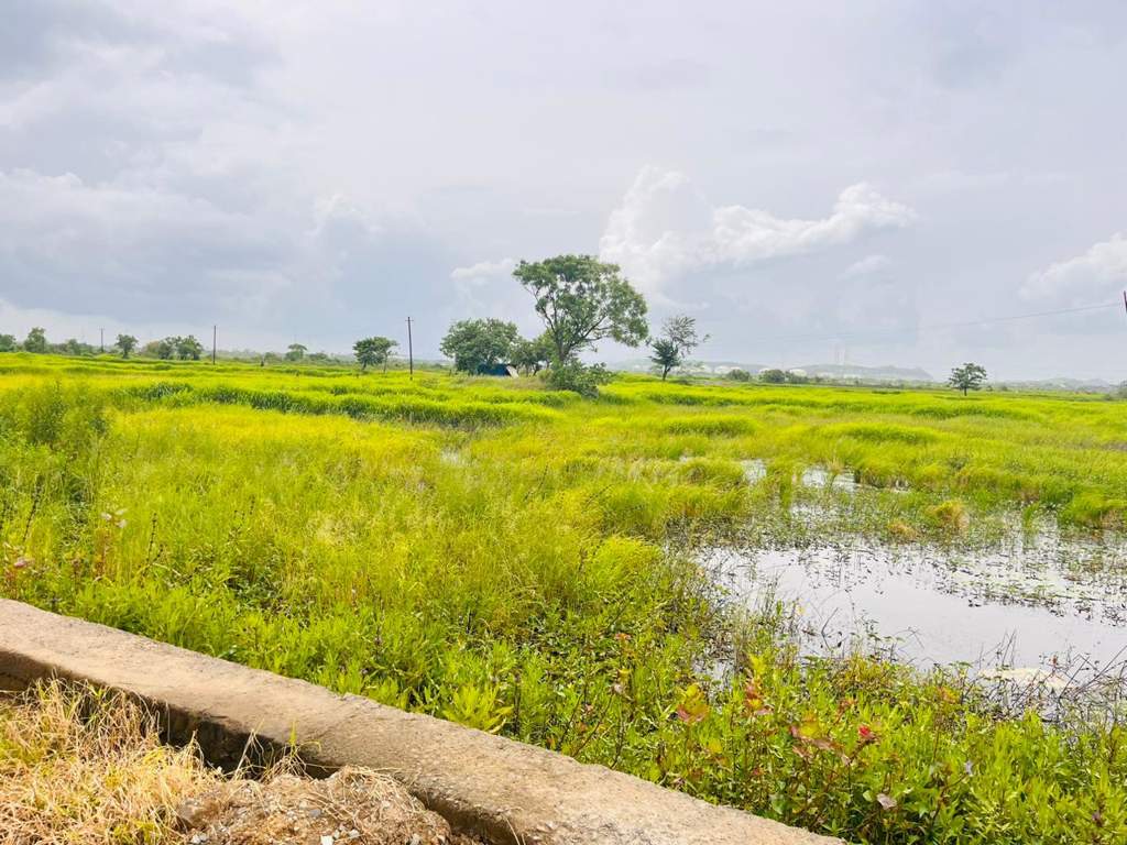  land plots in belondakhar Plot