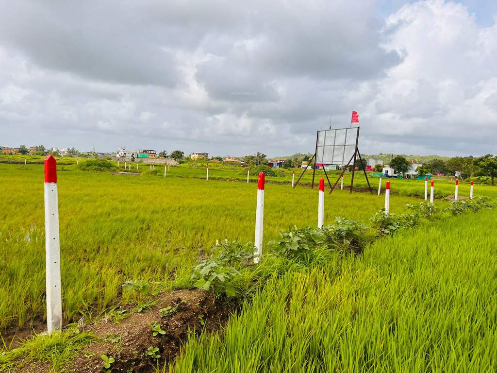 land plots in belondakhar Plot