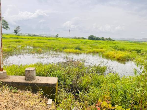  land-plots-in-chirle Plot