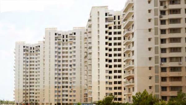  water-lily-phase-5 Elevation