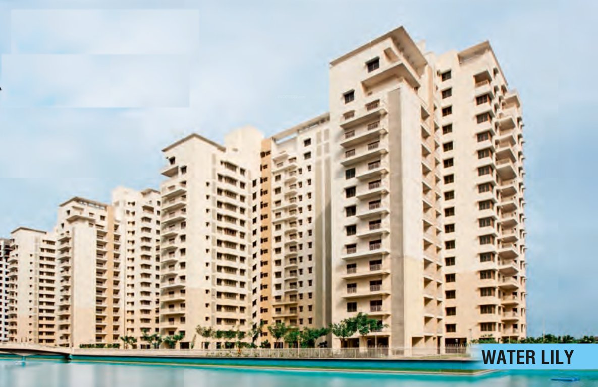  water lily phase 5 Elevation