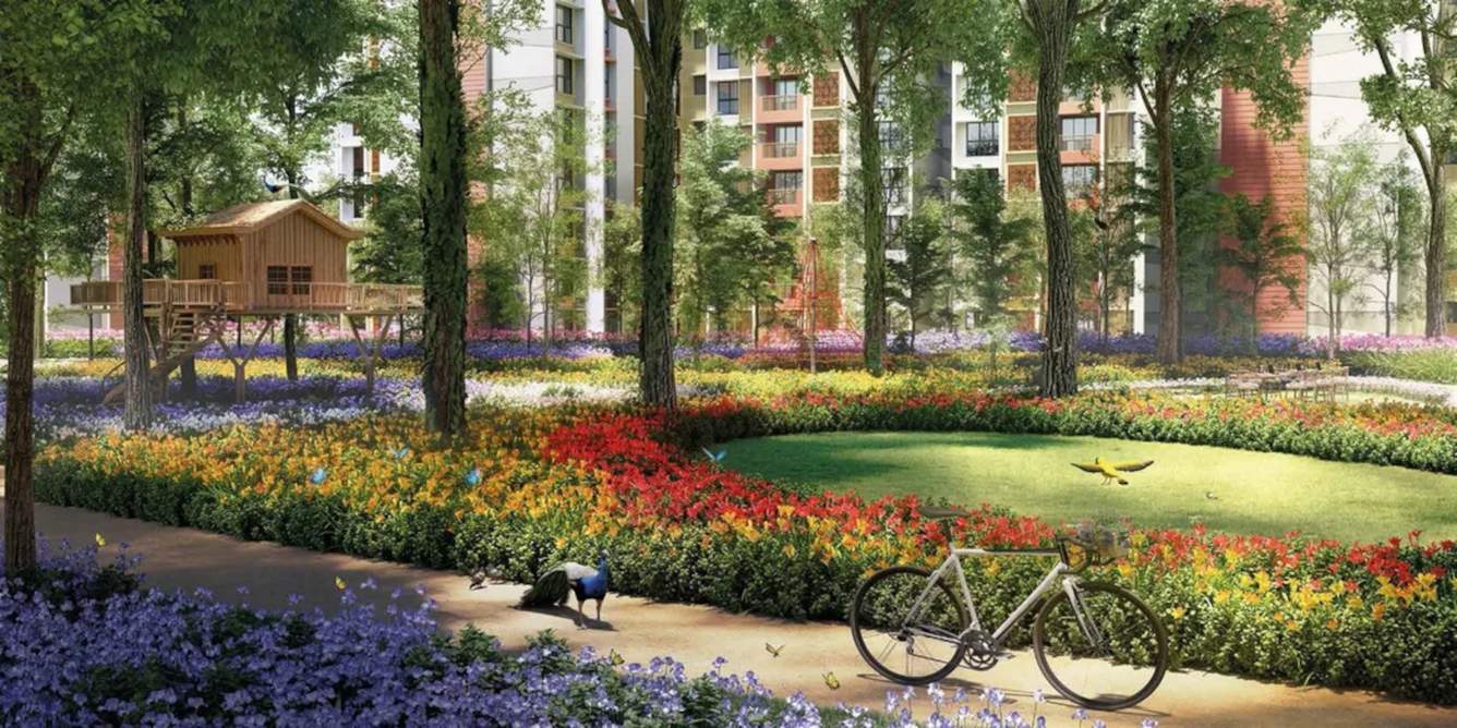  belvedere h Landscape Garden and Tree Planting