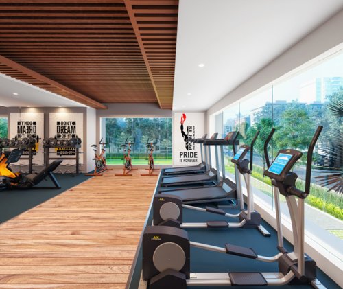  kalim-zeus Gymnasium