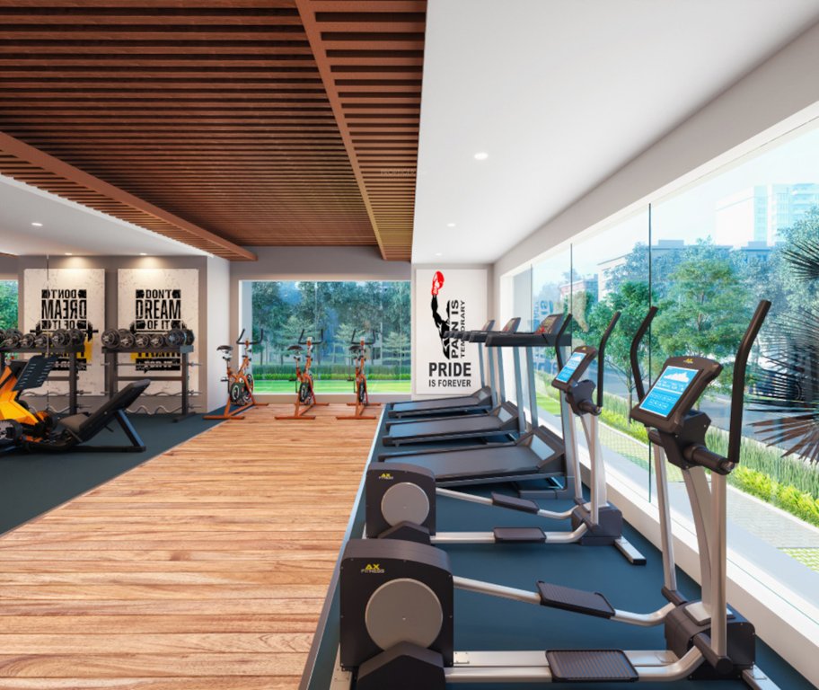  kalim zeus Gymnasium