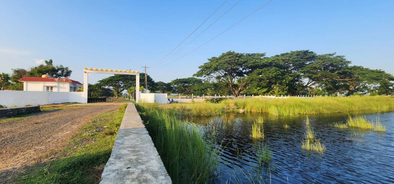  prompton springs Gated Community