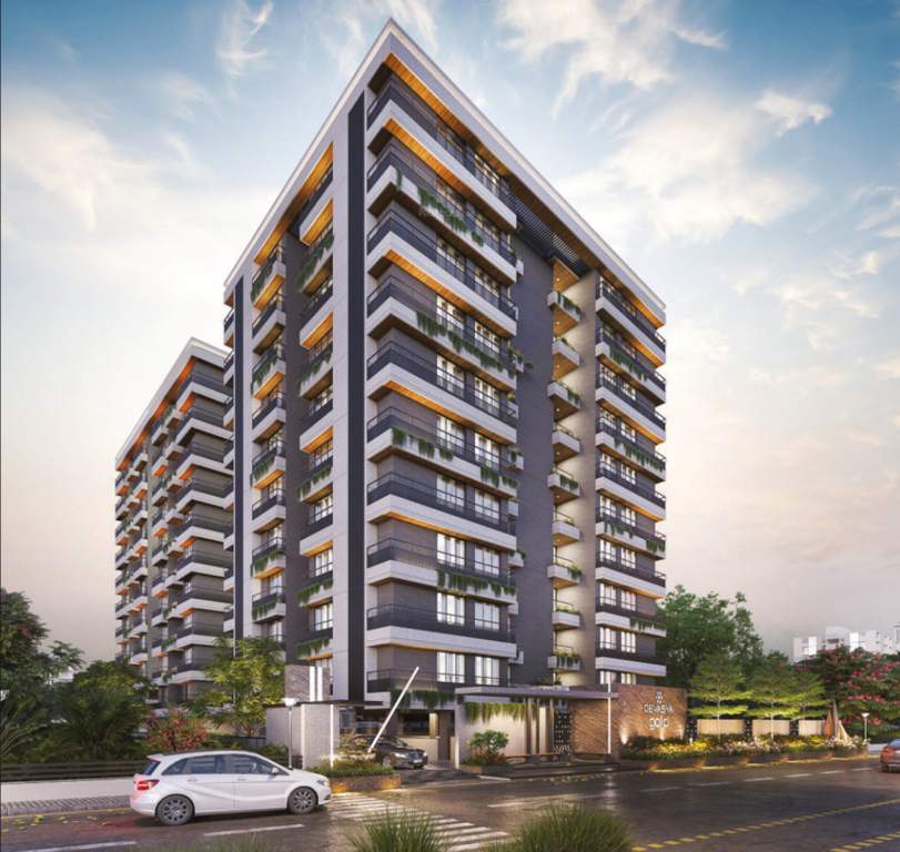  gold Elevation