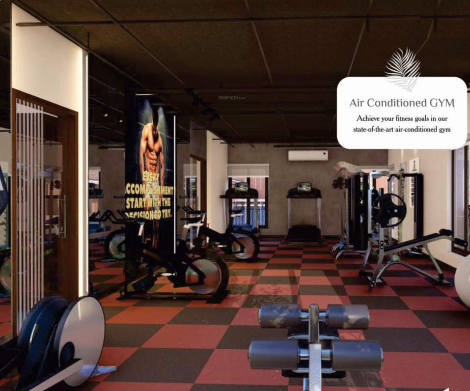  house of palisade Gymnasium