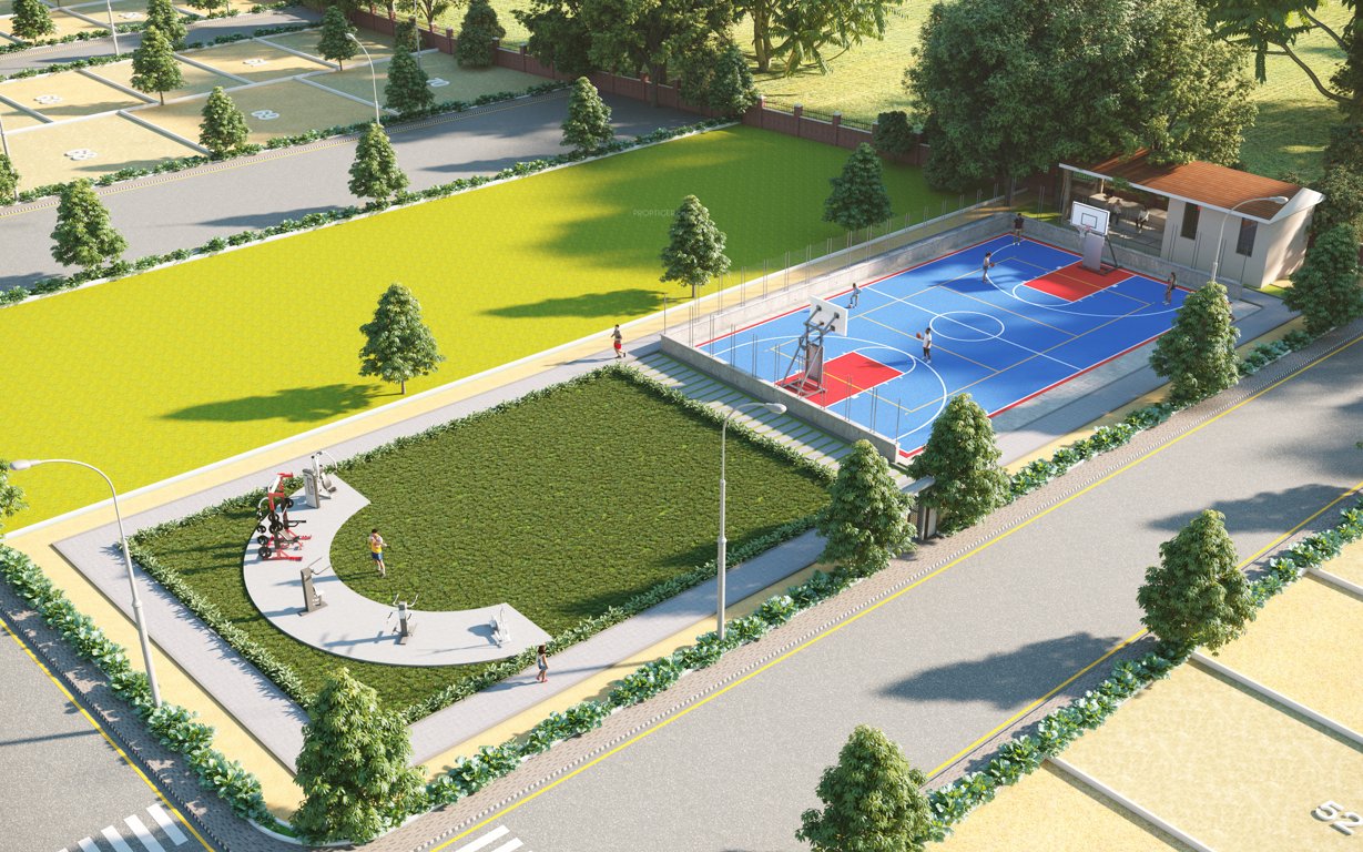  nidhivan Basketball Court