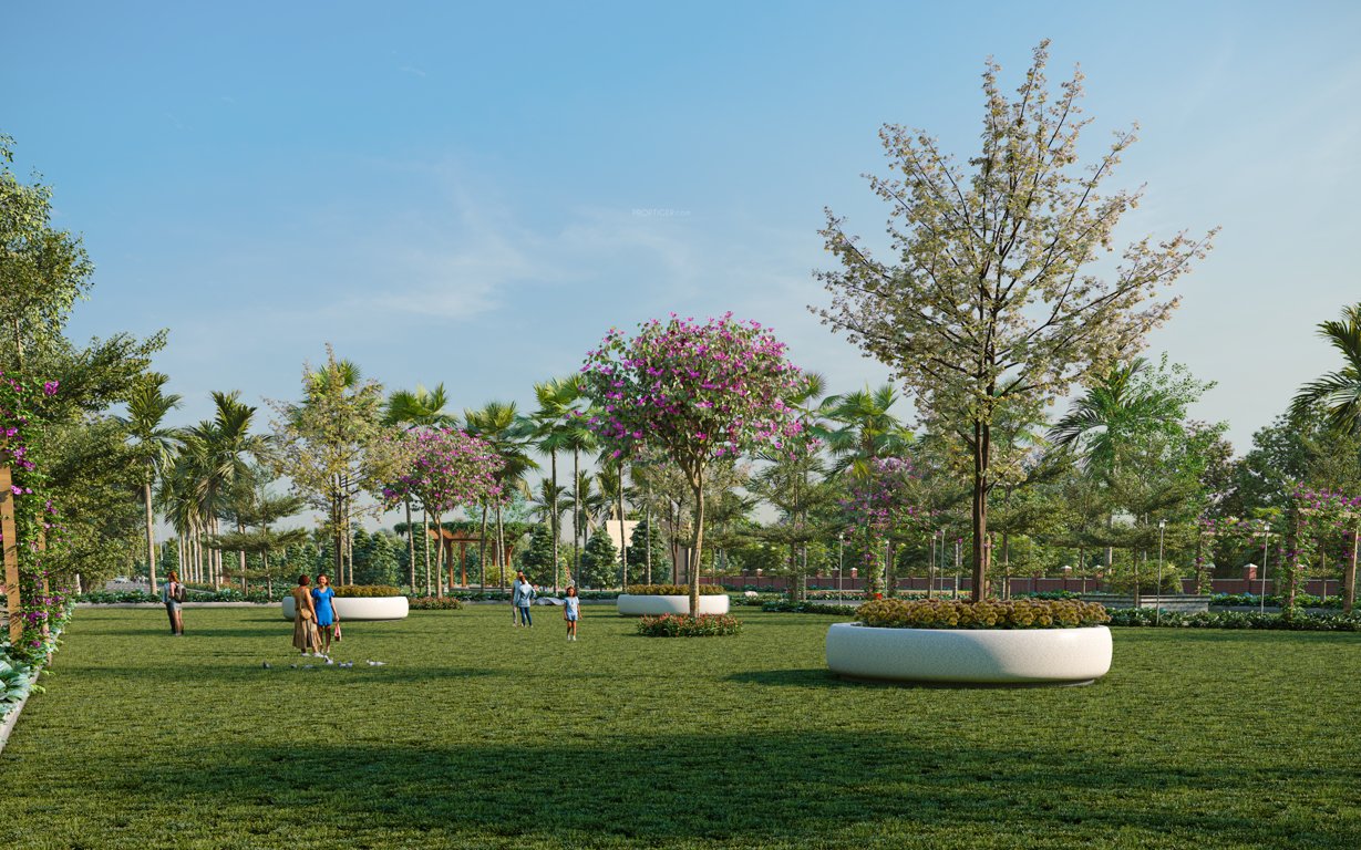  nidhivan Landscape Garden and Tree Planting