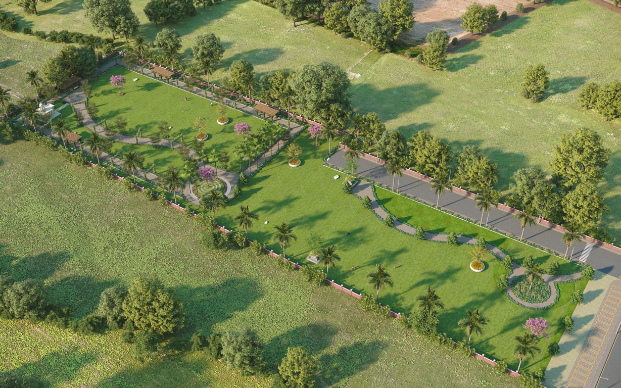  nidhivan Landscape Garden and Tree Planting