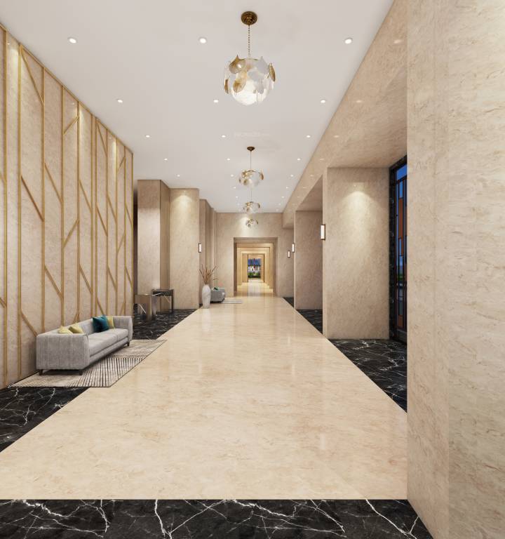  rivali park stargaze Others