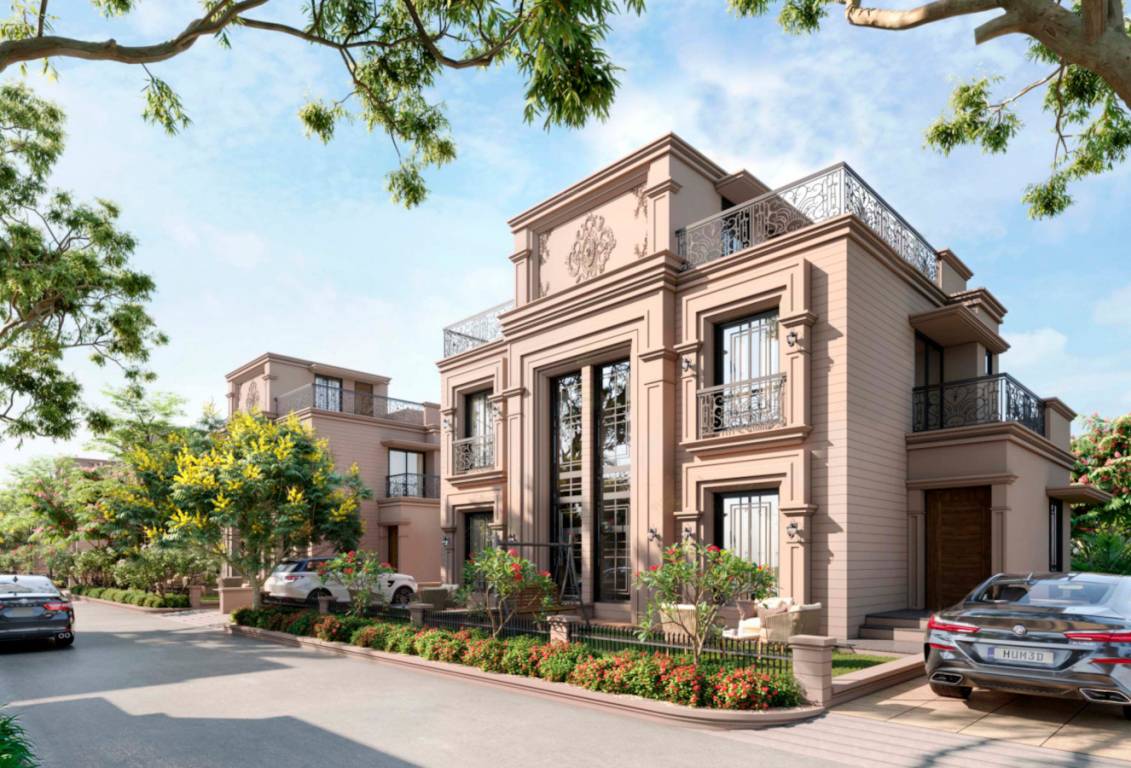  coral paradise Elevation