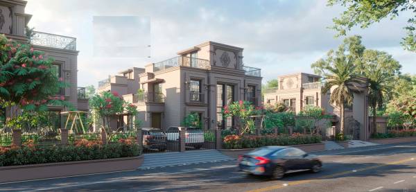  coral-paradise Elevation