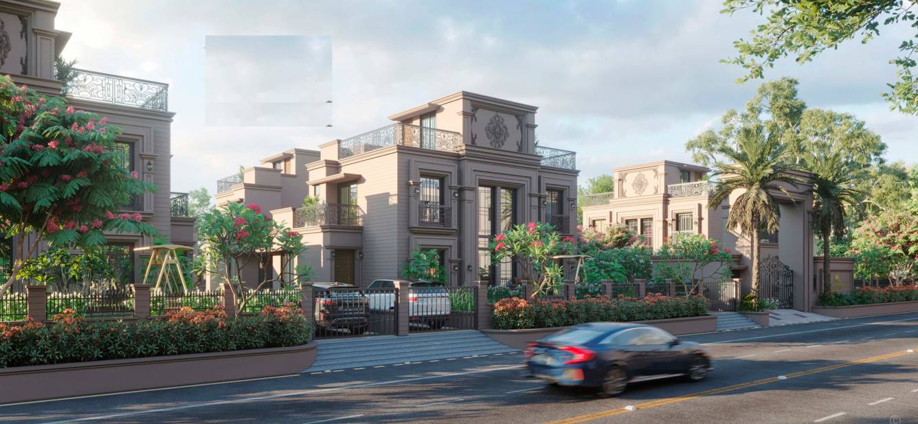  coral paradise Elevation