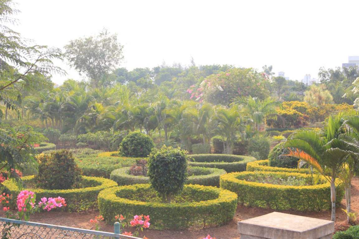  jss 4th stage block c Landscape Garden and Tree Planting