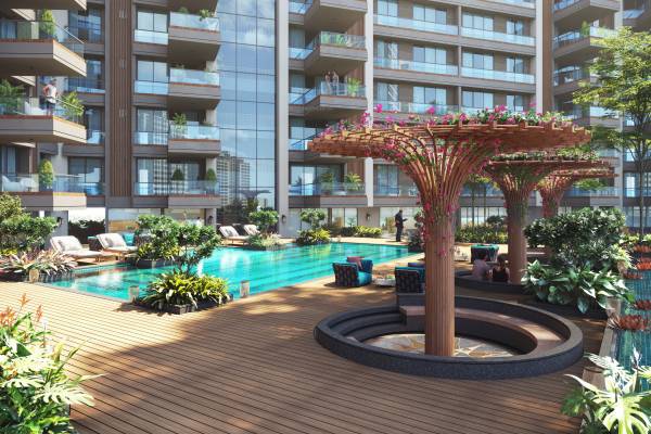  aashray-eminent Others