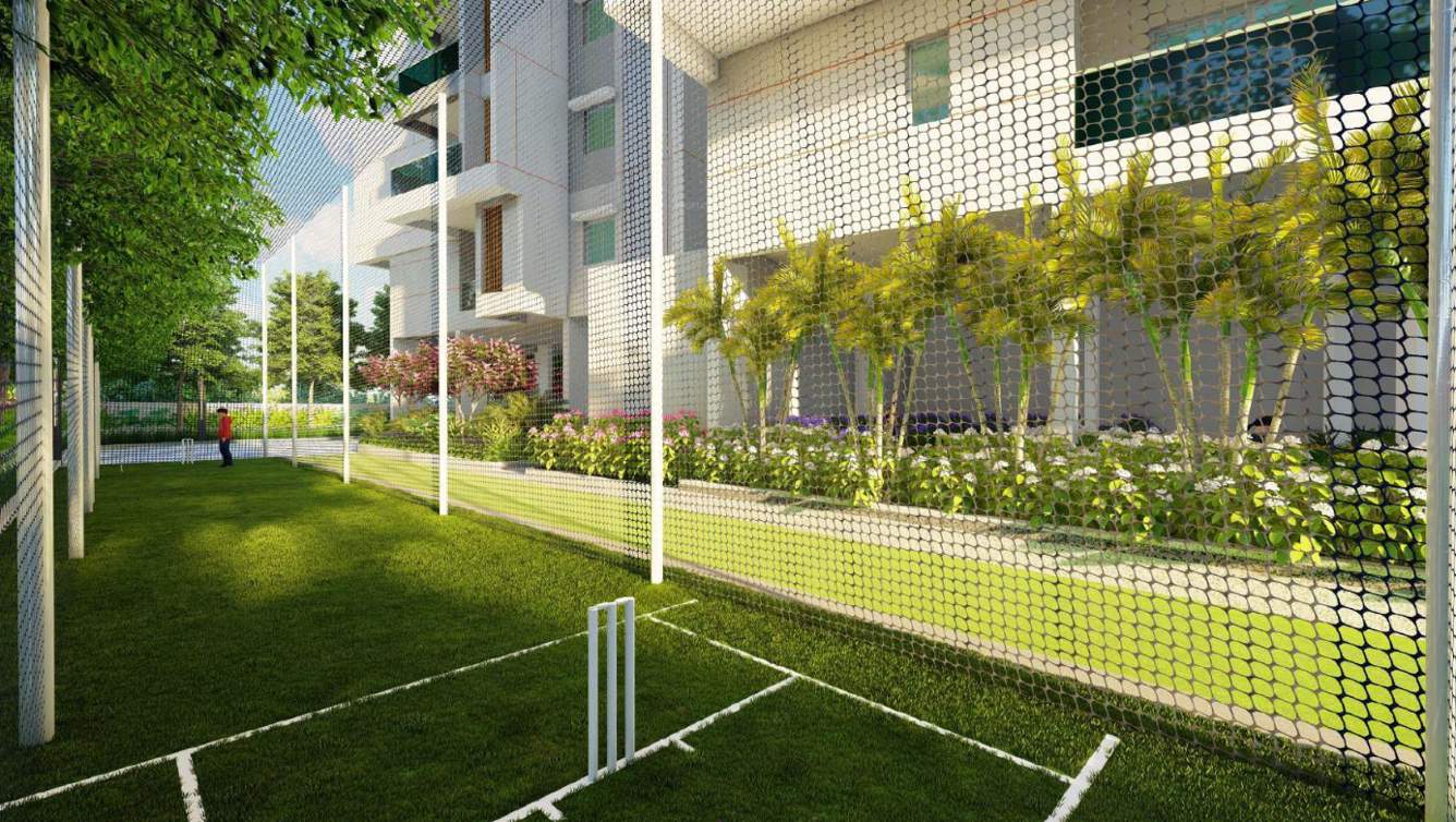  saraa city Cricket Pitch