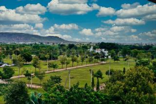 Project Image Project Image