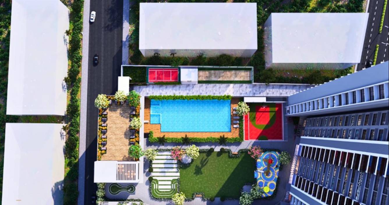 edmont aurelia Others