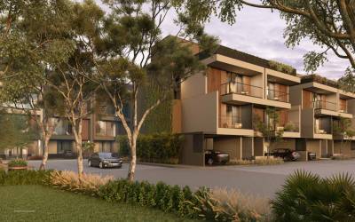  forest-trails Elevation