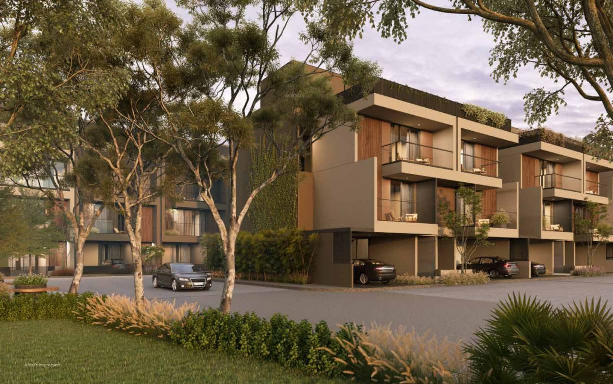 forest trails Elevation