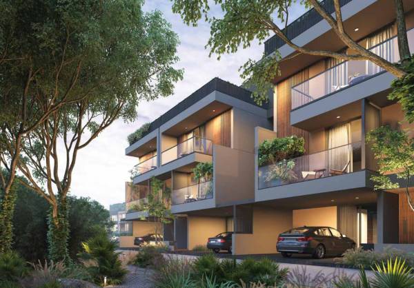  forest-trails Elevation