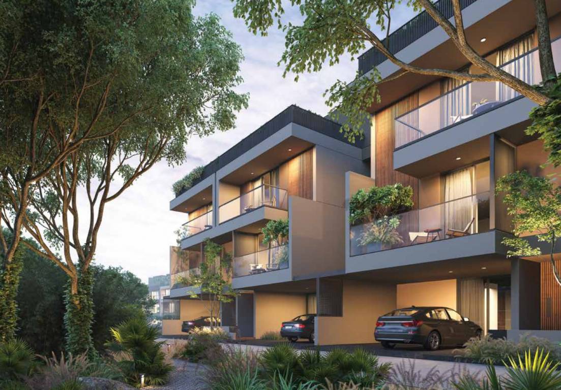 forest trails Elevation