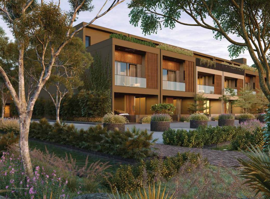 forest trails Elevation