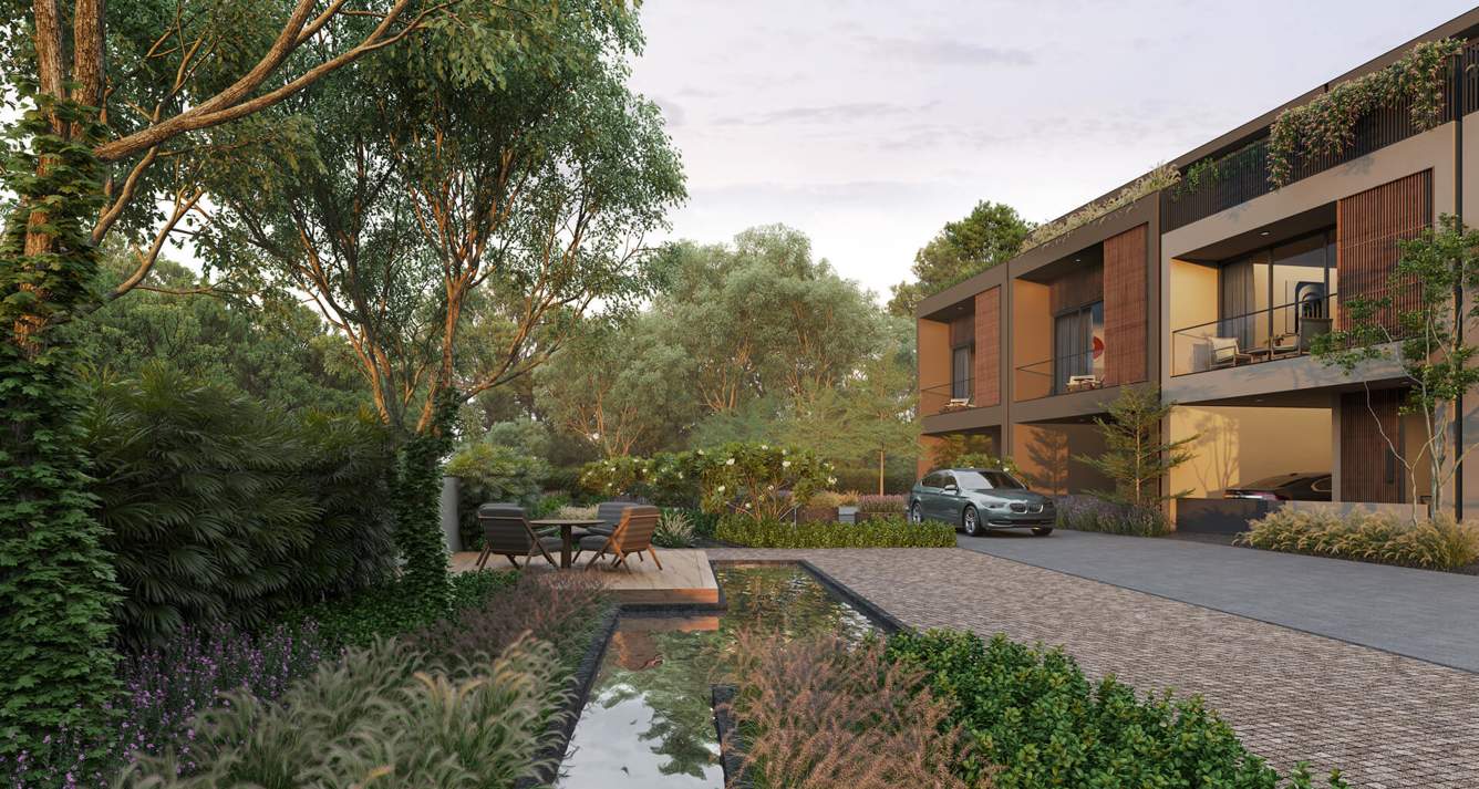 forest trails Landscape Garden and Tree Planting